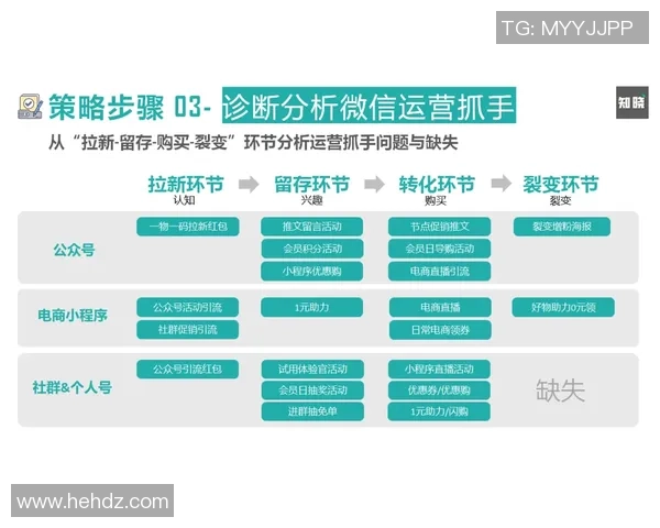 V5战队运营策略分析与成败得失的深度剖析